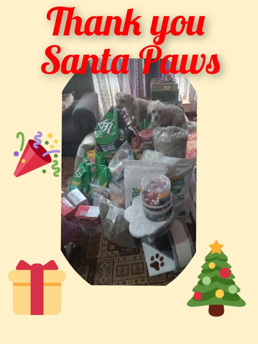 Delmas Animal Shelter